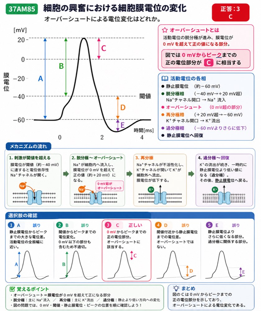 37AM85の解説画像
