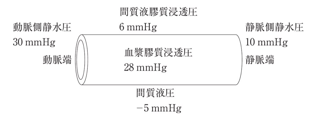 39PM88の問題画像