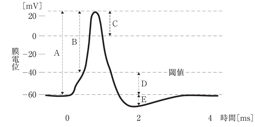 37AM85の問題画像