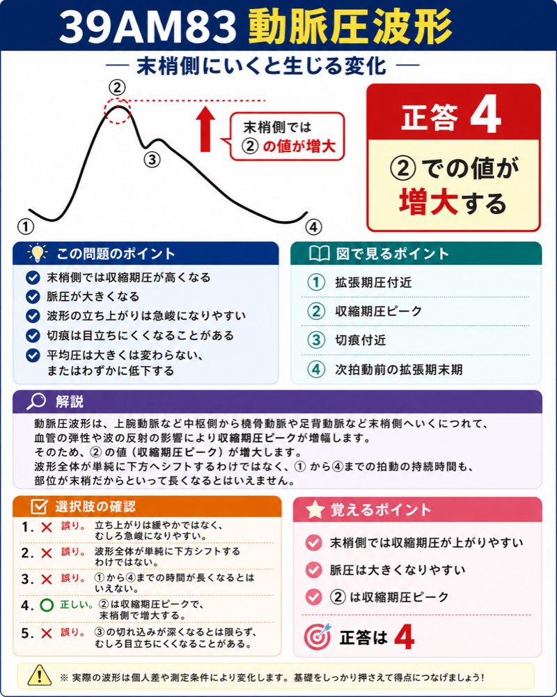 39AM83の解説画像