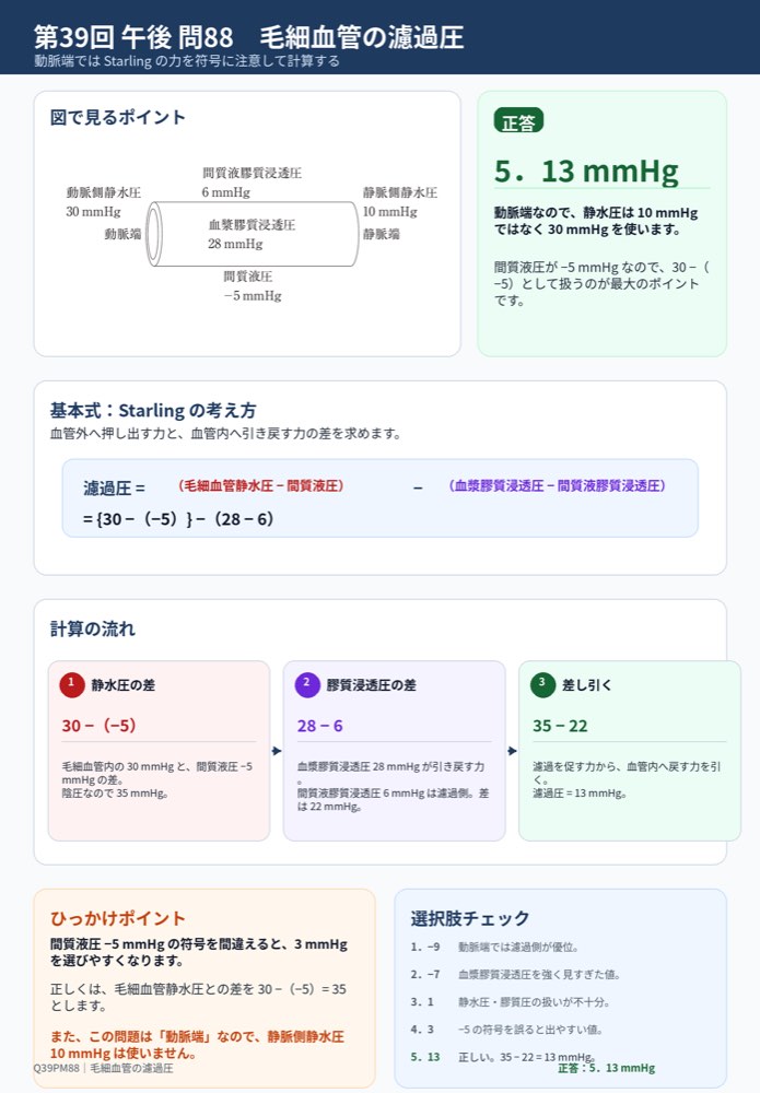 39PM88の解説画像
