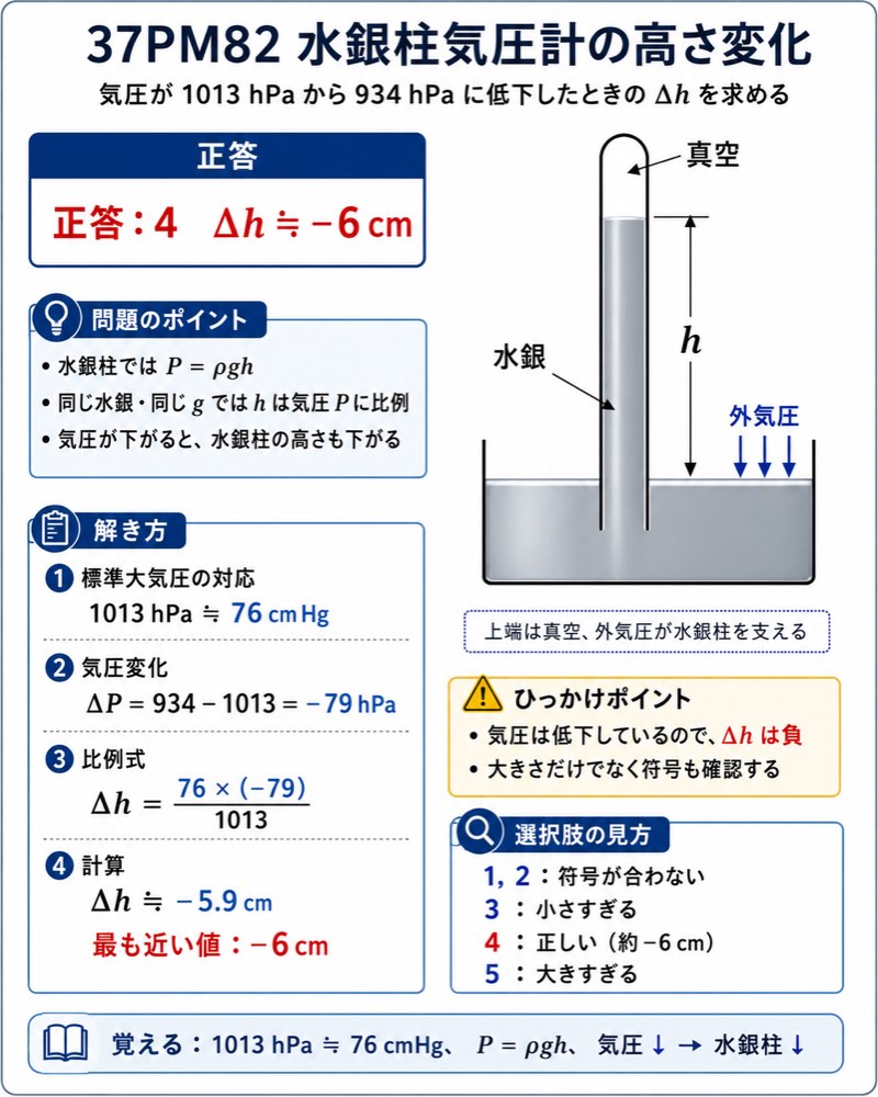 37PM82の解説画像