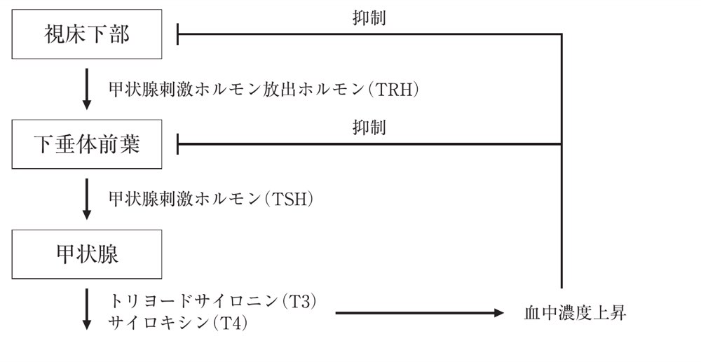 36AM15の問題画像