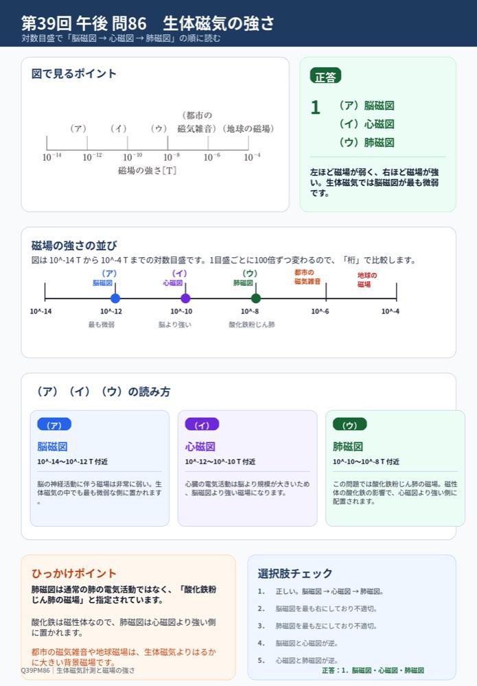 39PM86の解説画像