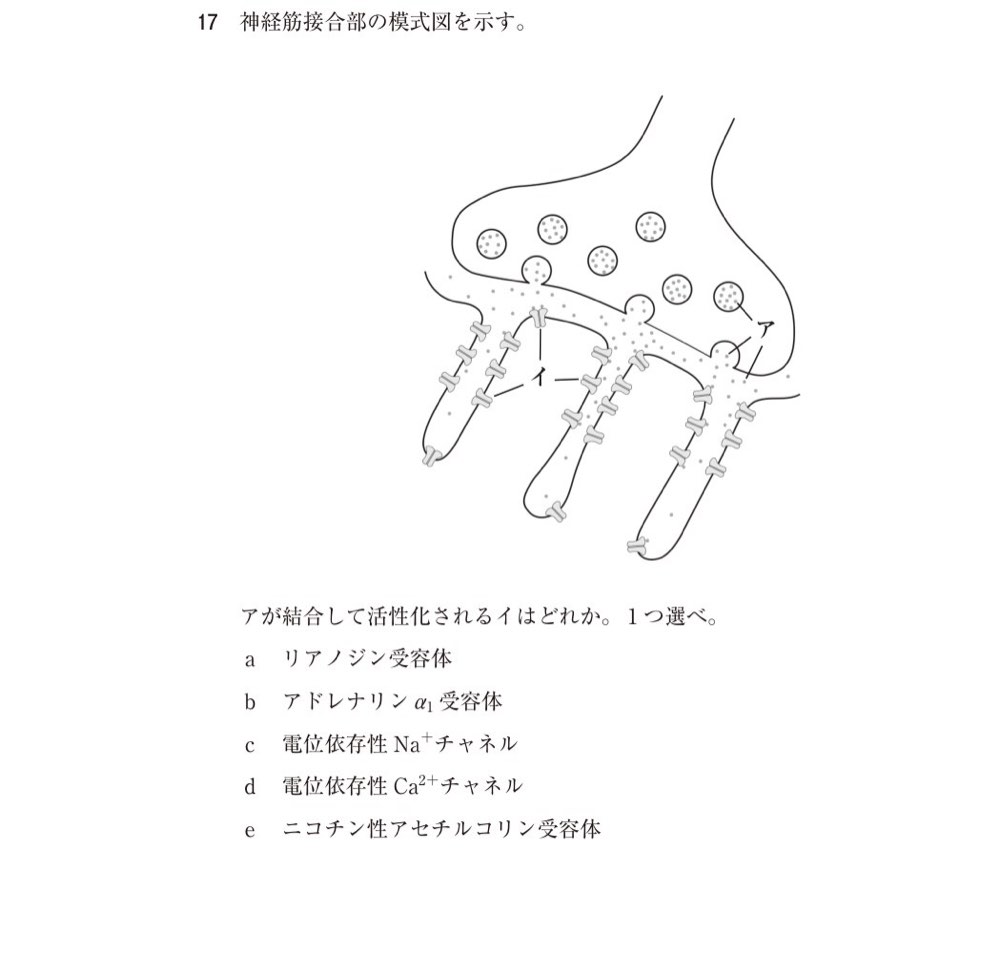 118A017の問題画像