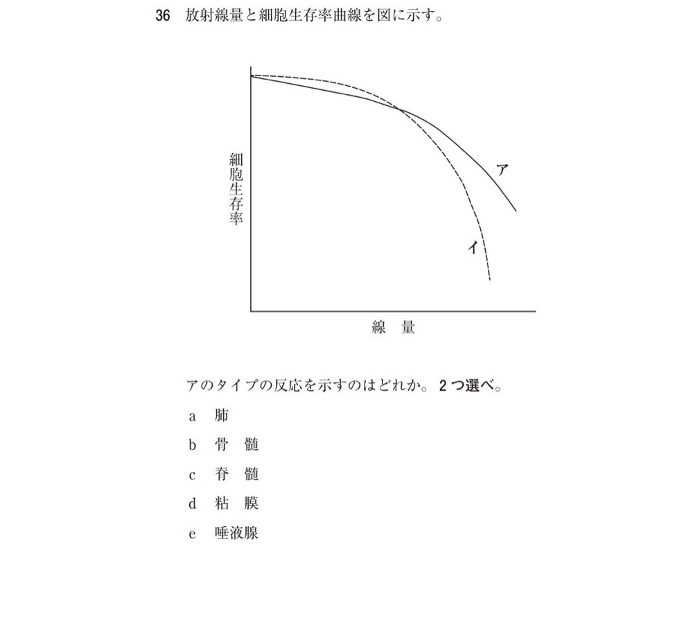 118A036の問題画像