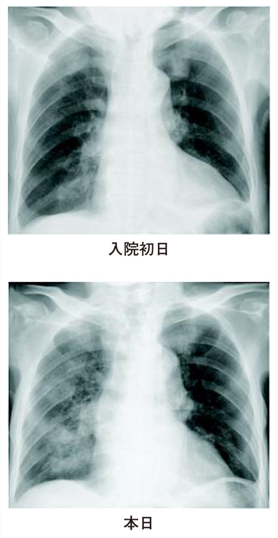 113A086の問題画像
