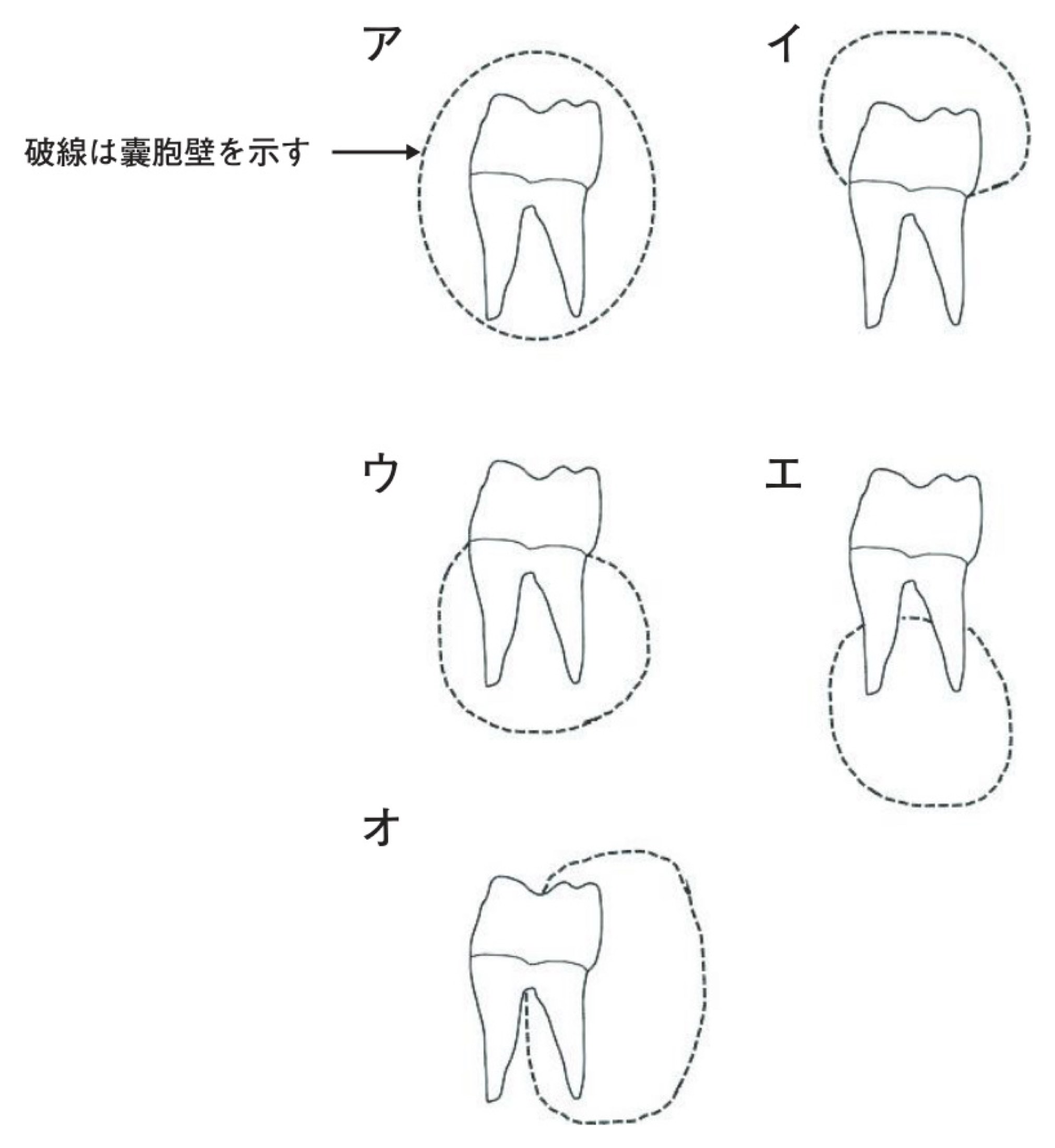 113A043の問題画像