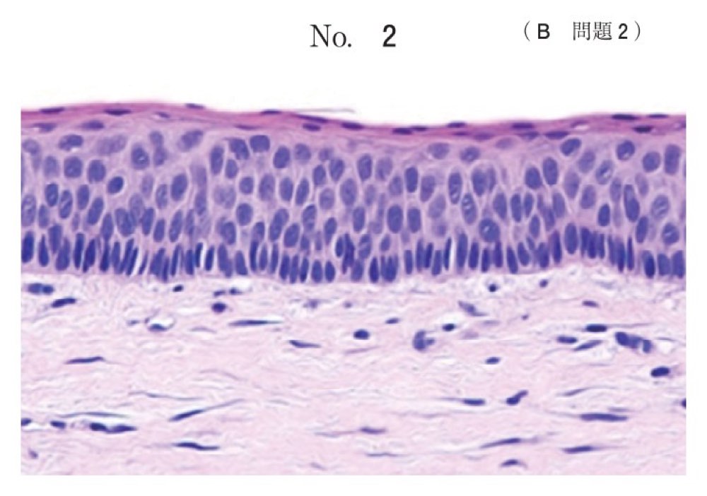116B002の問題画像