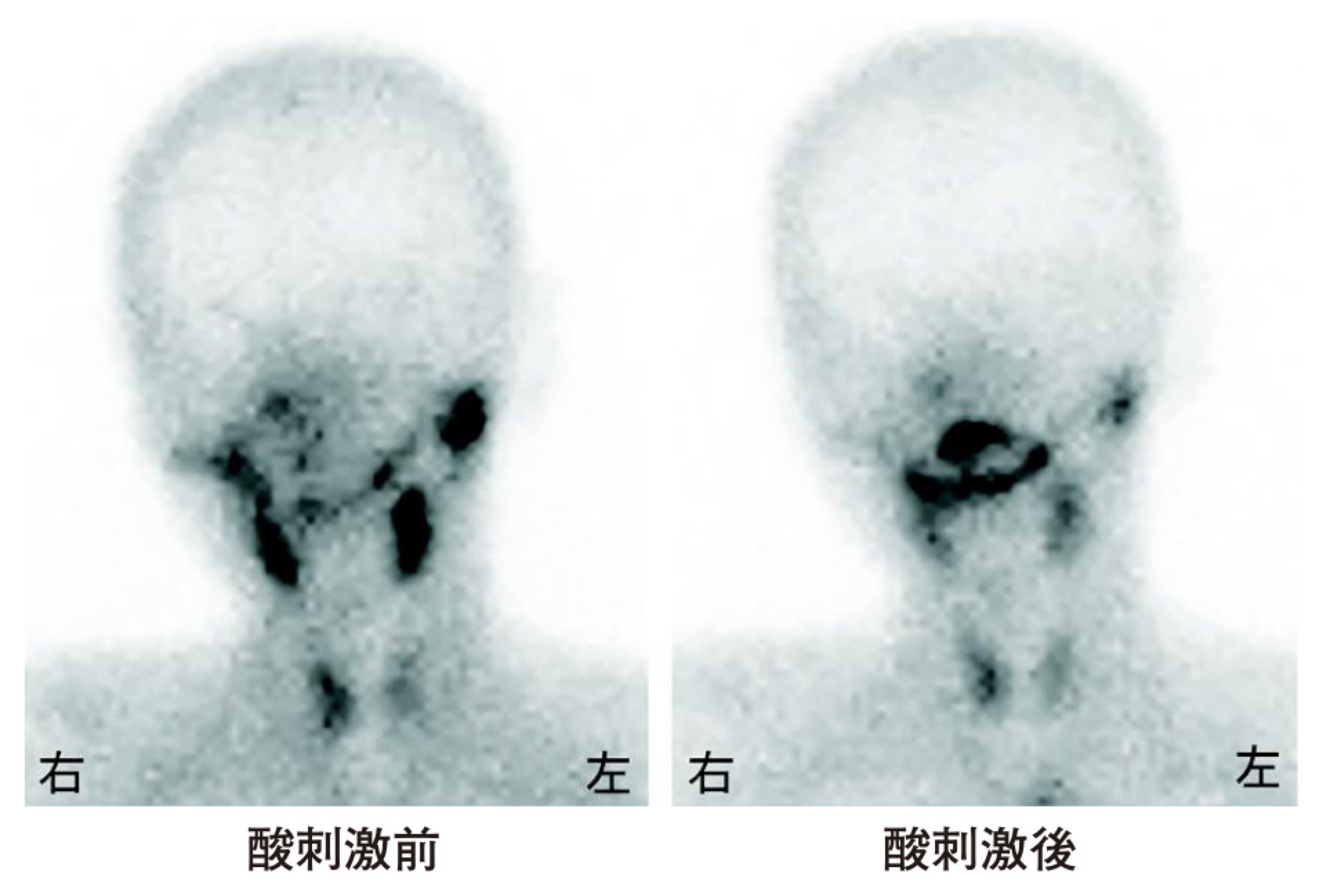 113D070の問題画像