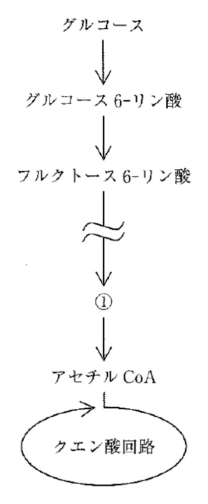 31AM008の問題画像