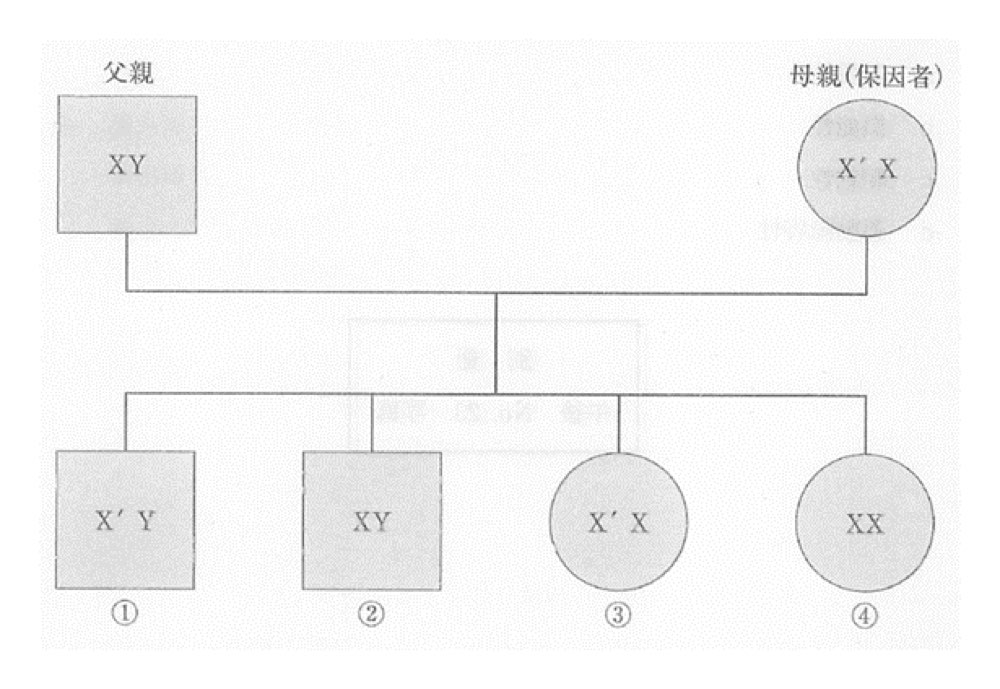 34PM061の問題画像