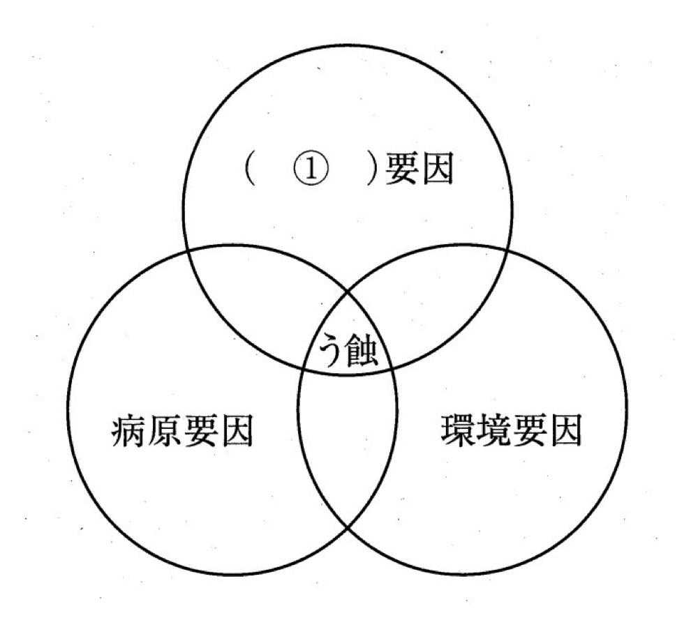 33PM066の問題画像