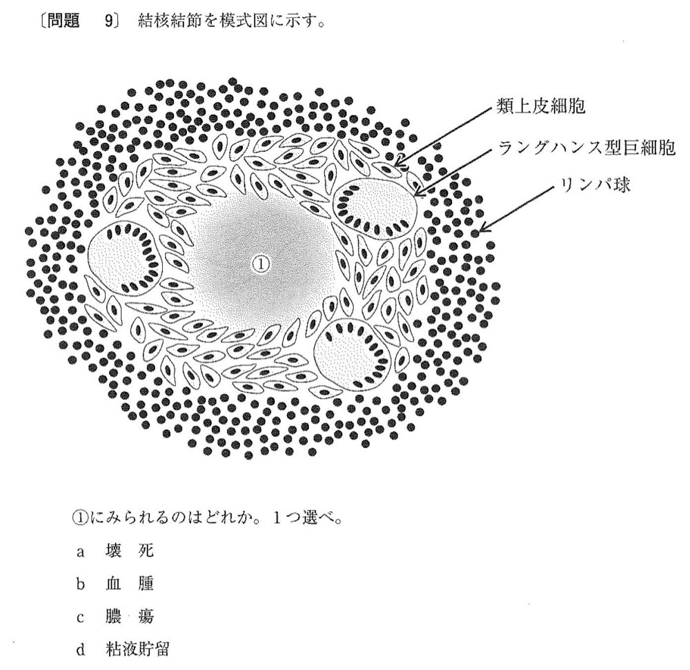 32PM009の問題画像