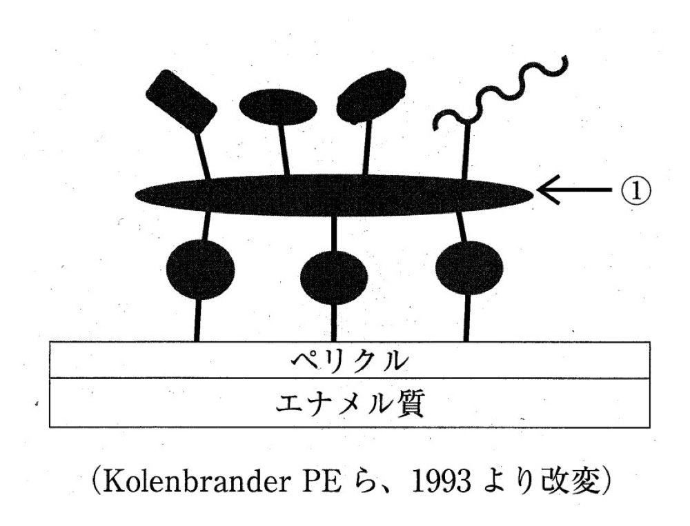 33AM010の問題画像