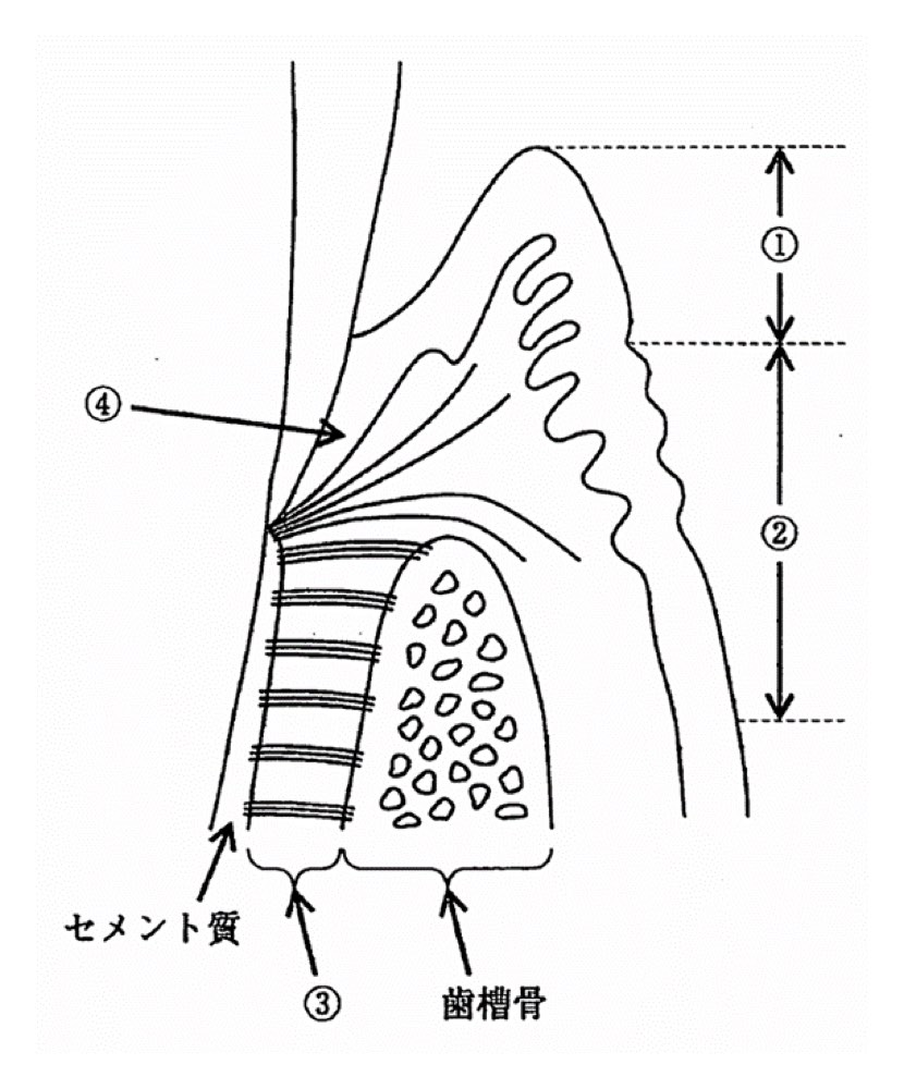 34AM065の問題画像