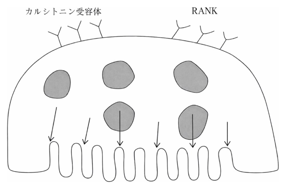 34AM008の問題画像