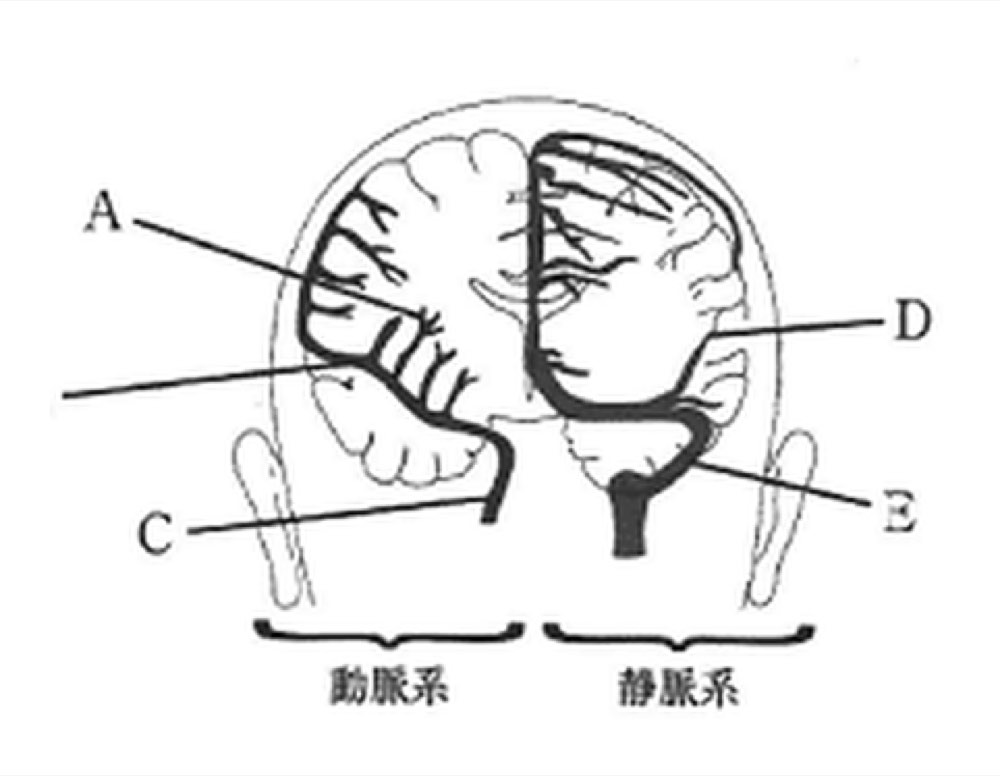 47A087の問題画像
