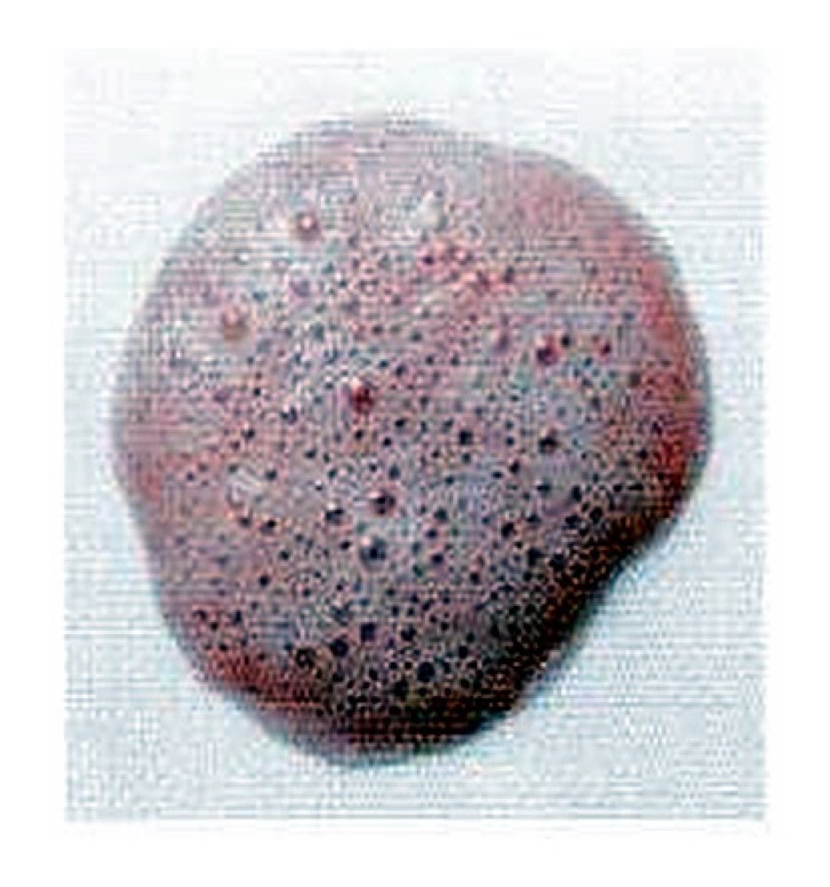 49D015の問題画像