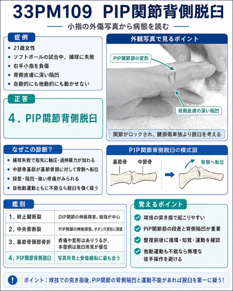 33PM109の解説画像