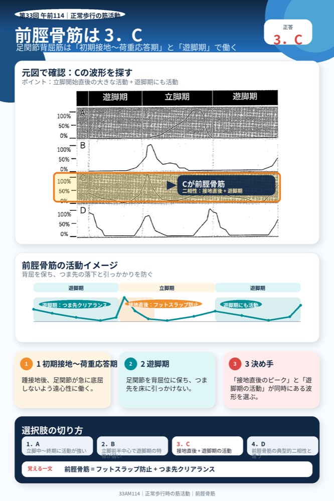 33AM114の解説画像