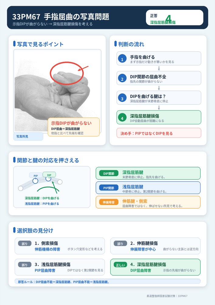 33PM67の解説画像