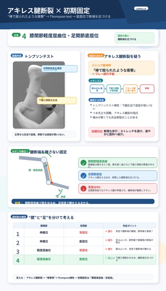 34PM119の解説画像
