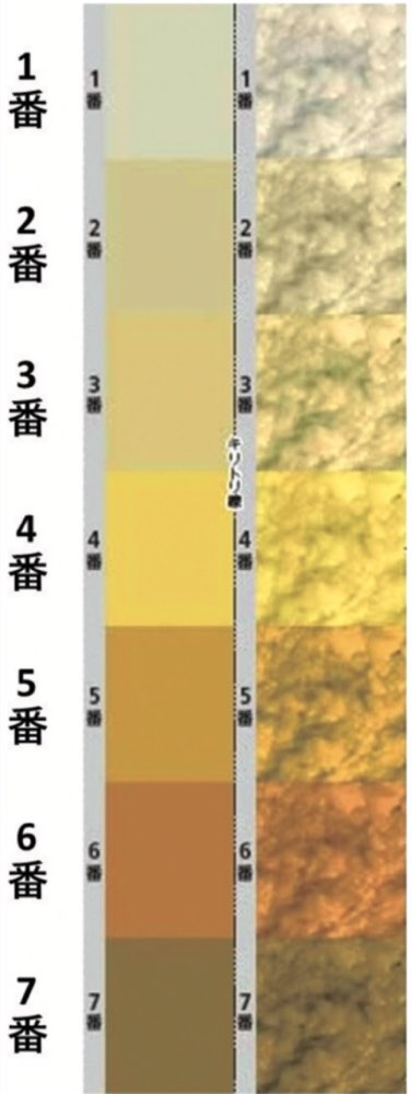 116F6の問題画像