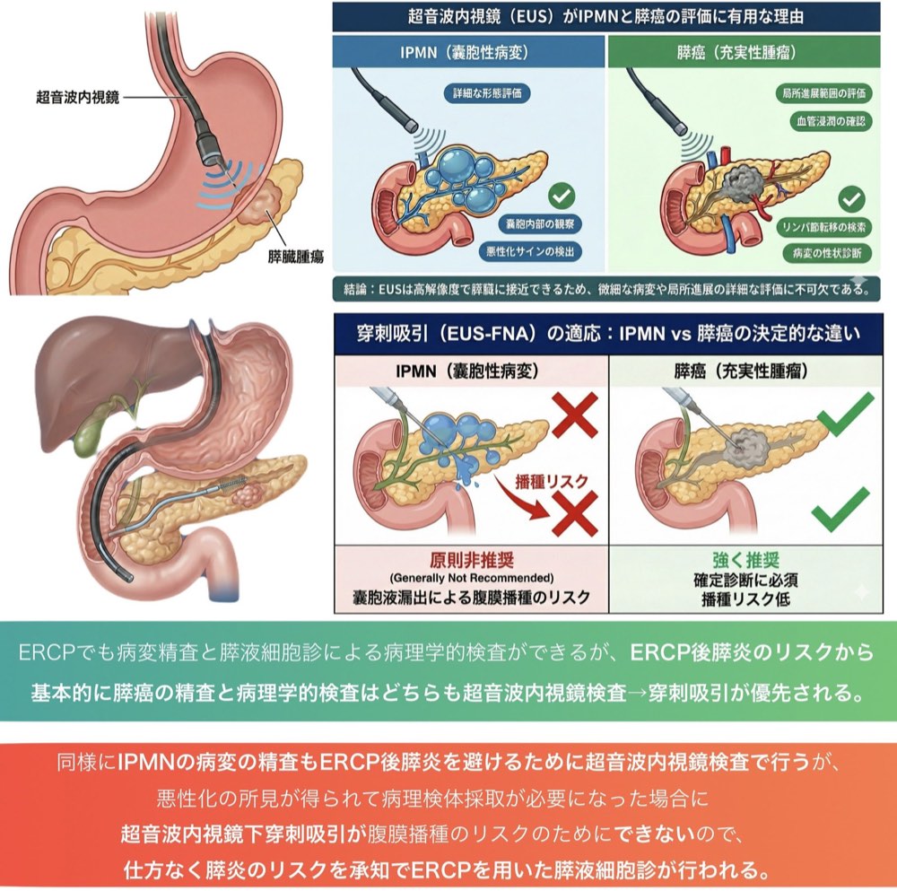 117A64の解説画像