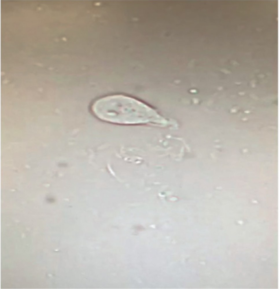 115D24の問題画像