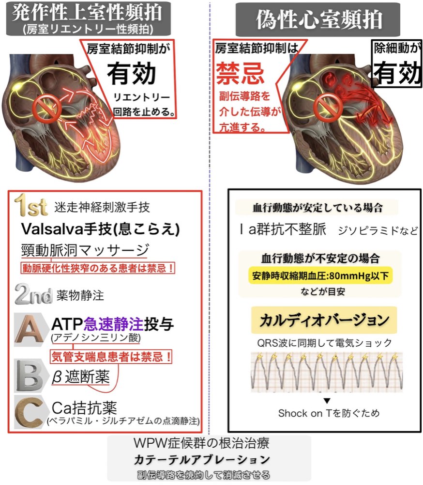 119D69の解説画像