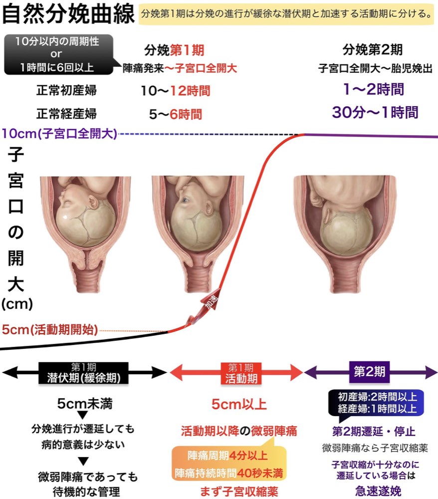 115F46の解説画像