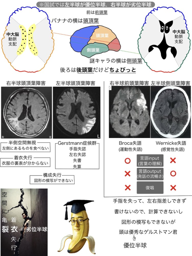 117F8の解説画像