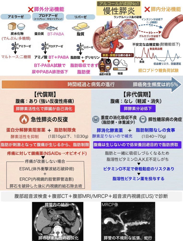 115C56の解説画像