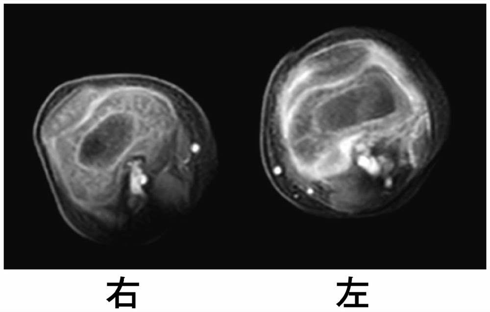 112D39の問題画像