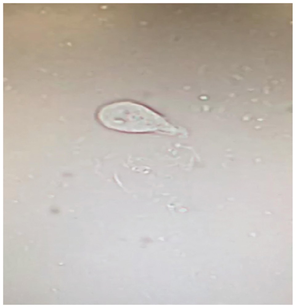 112F73の問題画像