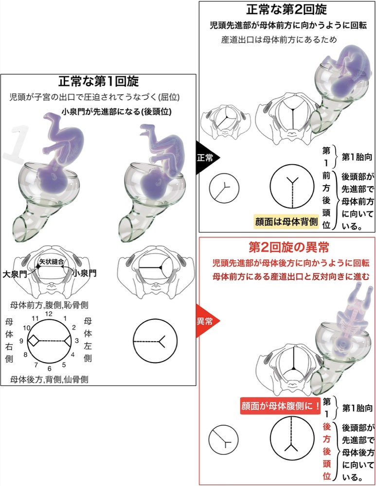 119F47の解説画像
