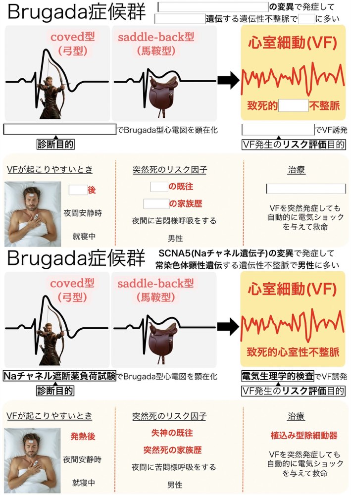 115A69の解説画像
