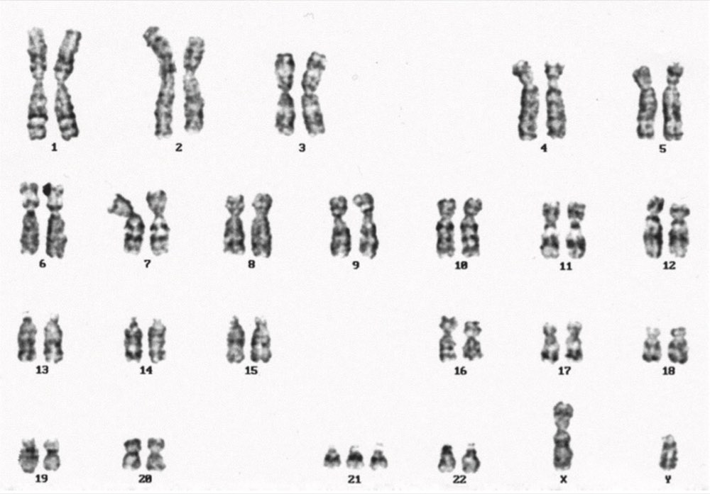 116A51の問題画像