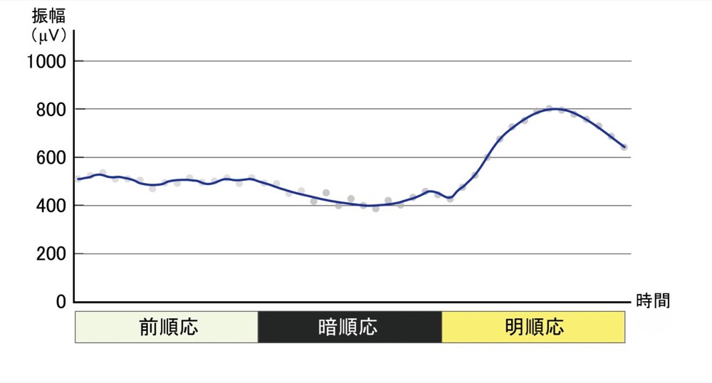 56PM010の問題画像