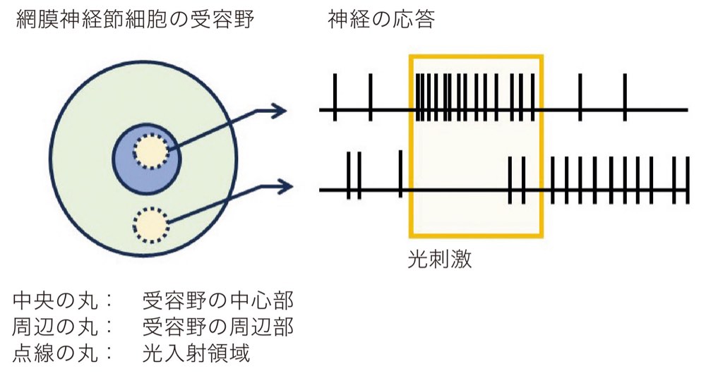 56PM013の問題画像