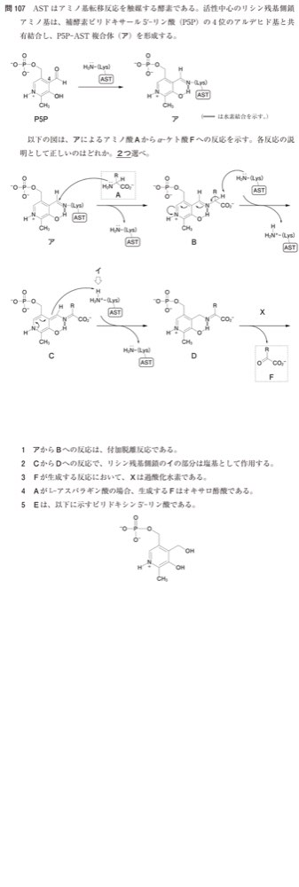 111Q107の問題画像