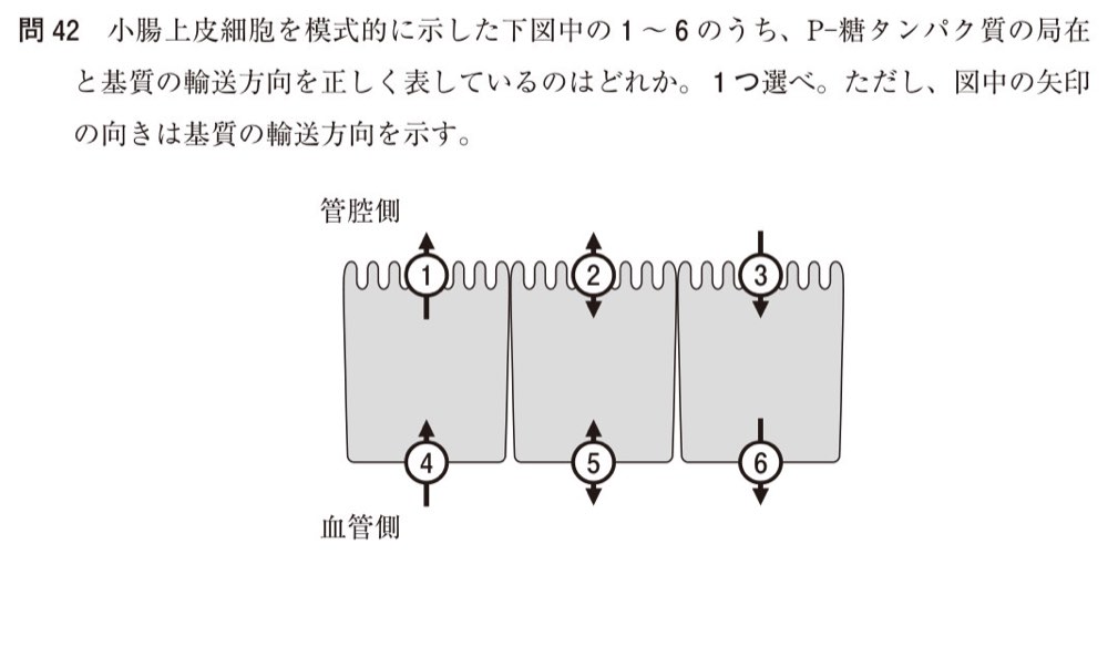 109Q042の問題画像