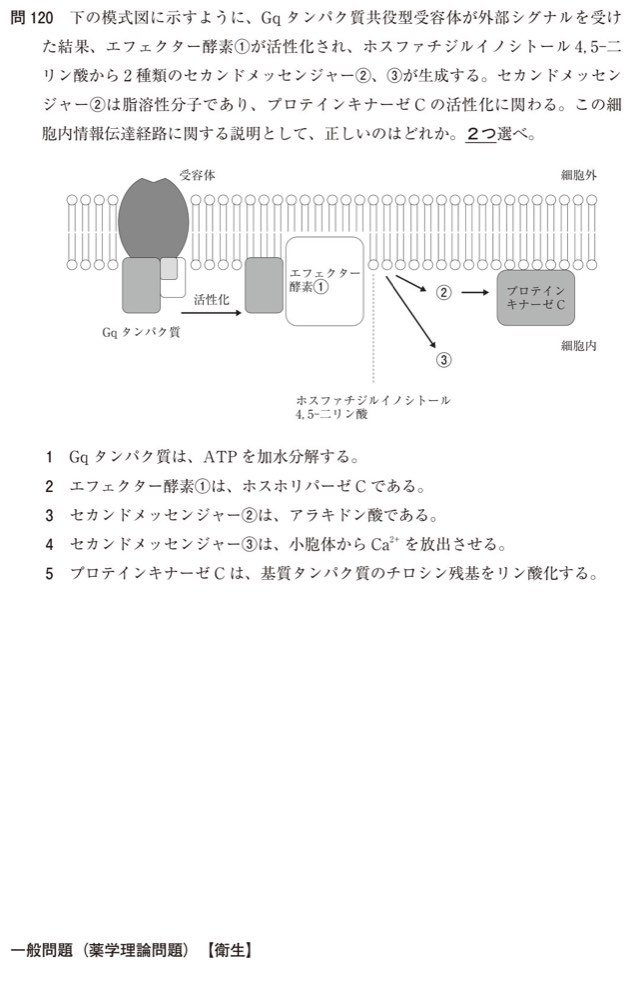 111Q120の問題画像