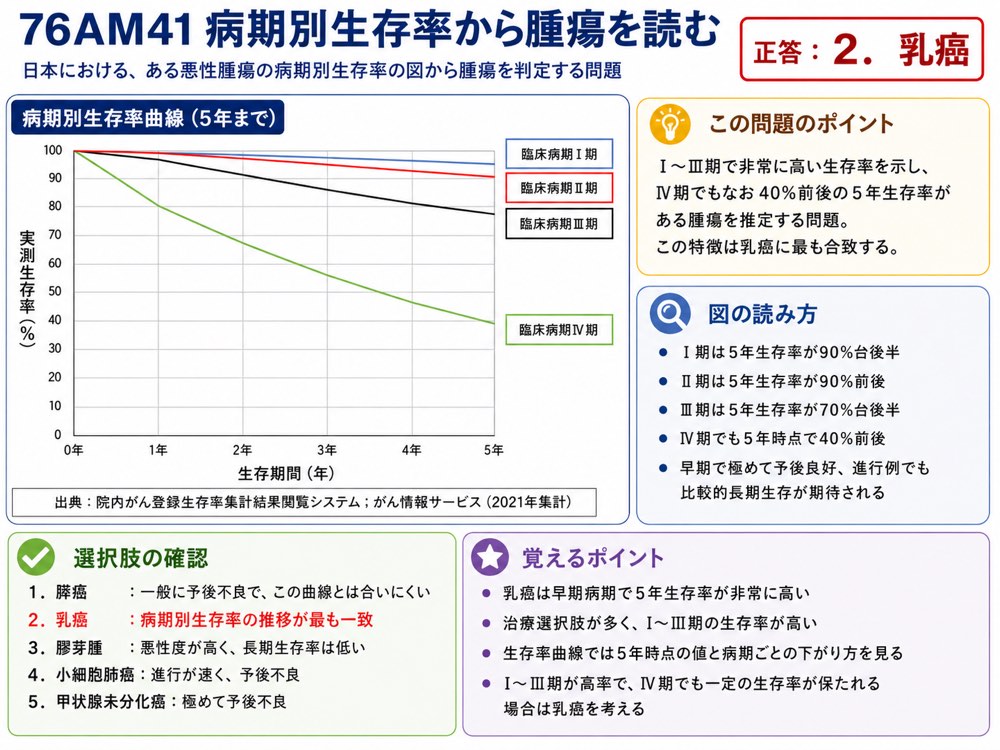76AM41の解説画像