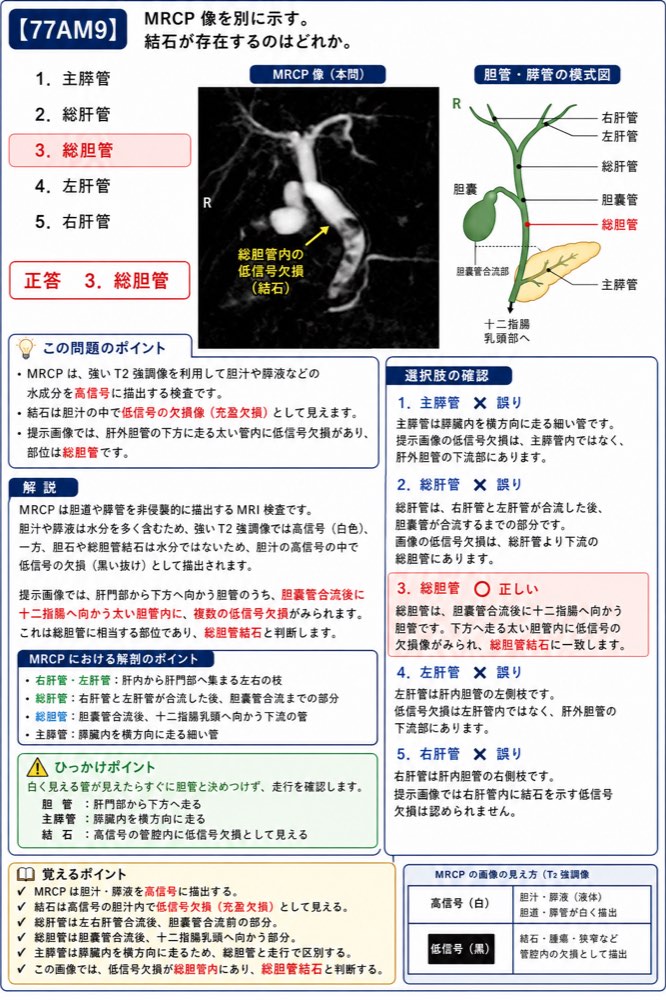77AM9の解説画像