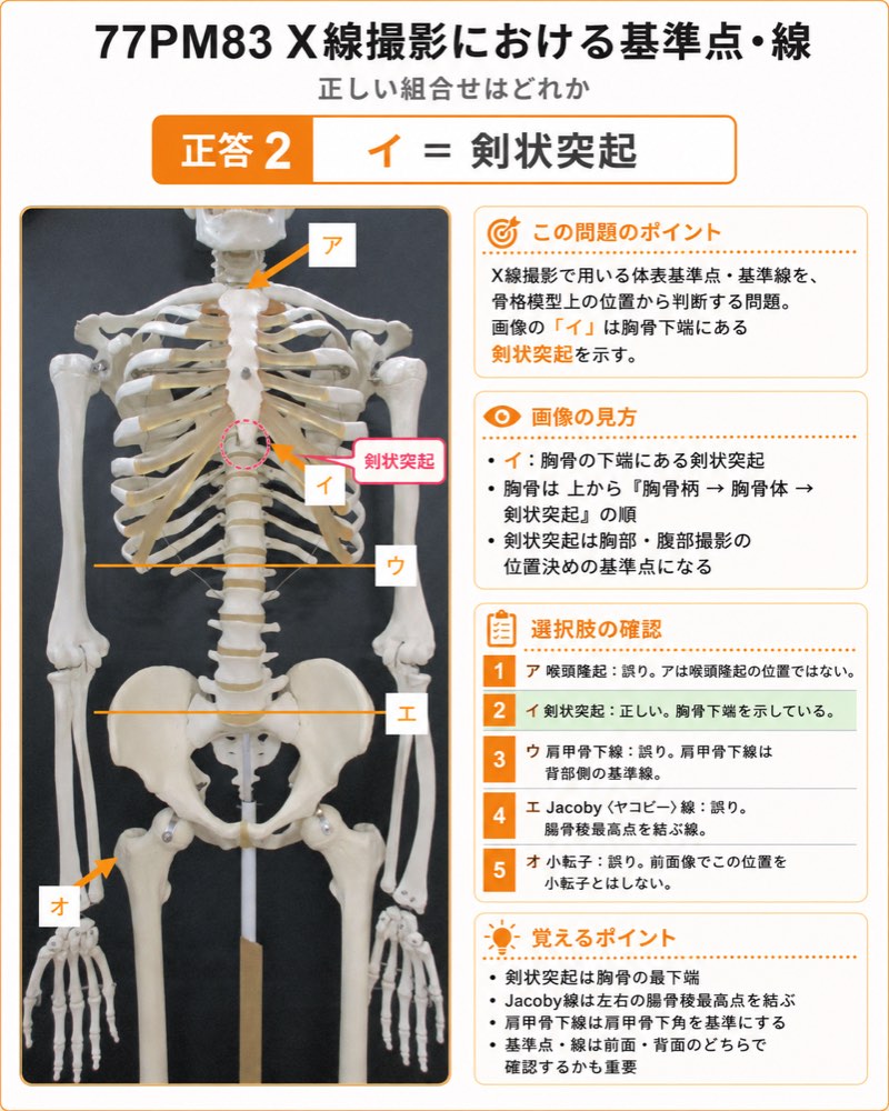 77PM83の解説画像
