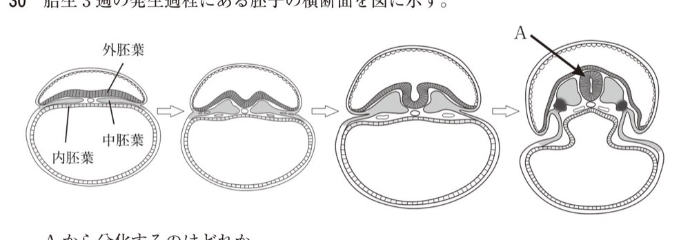 114AM030の問題画像