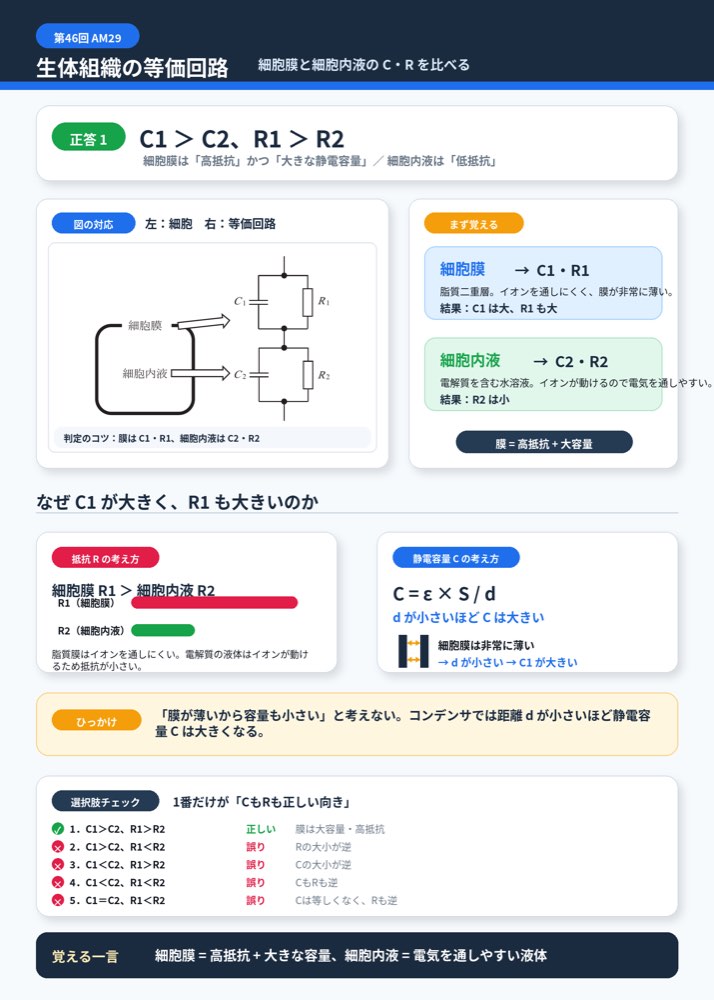 46AM29の解説画像