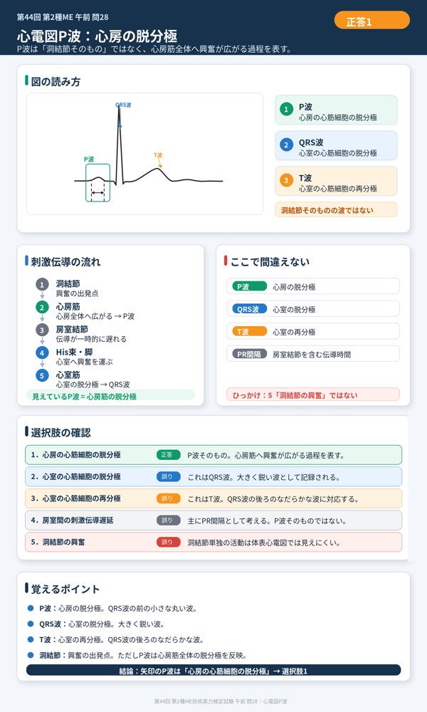 44AM28の解説画像